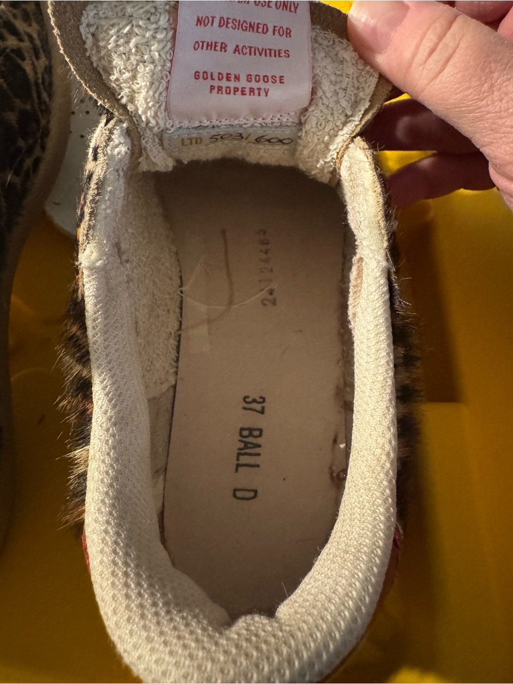 Golden Goose Ball Star Genuine Calf Hair Sneaker (Women) - Picture 15 of 16